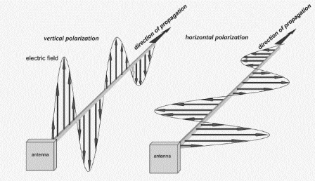 Vertical polarized antenna vs. horizontal-polarized antenna