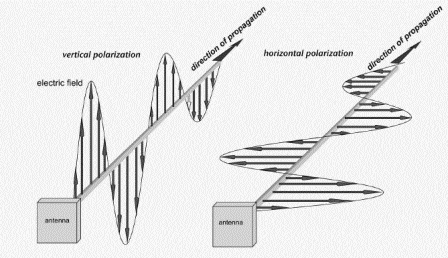 different antenna polarizations