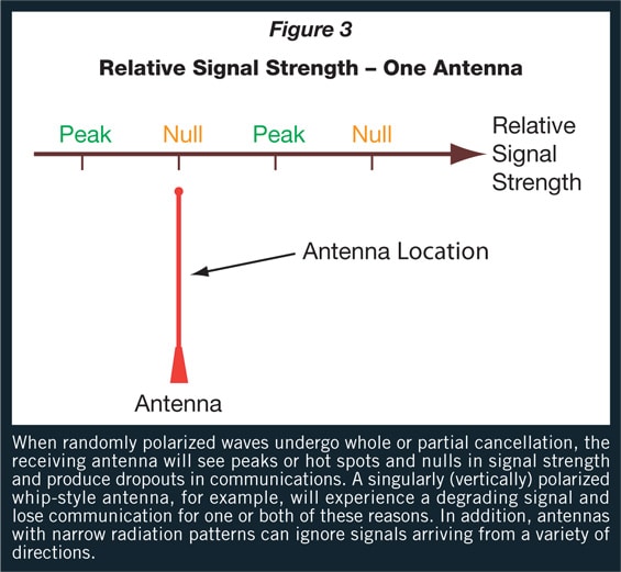 multi-polarization