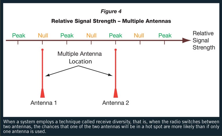 multi-polarization