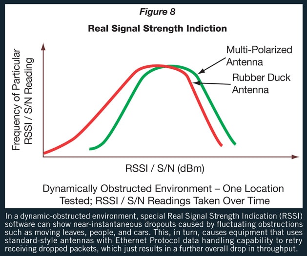 multi-polarization