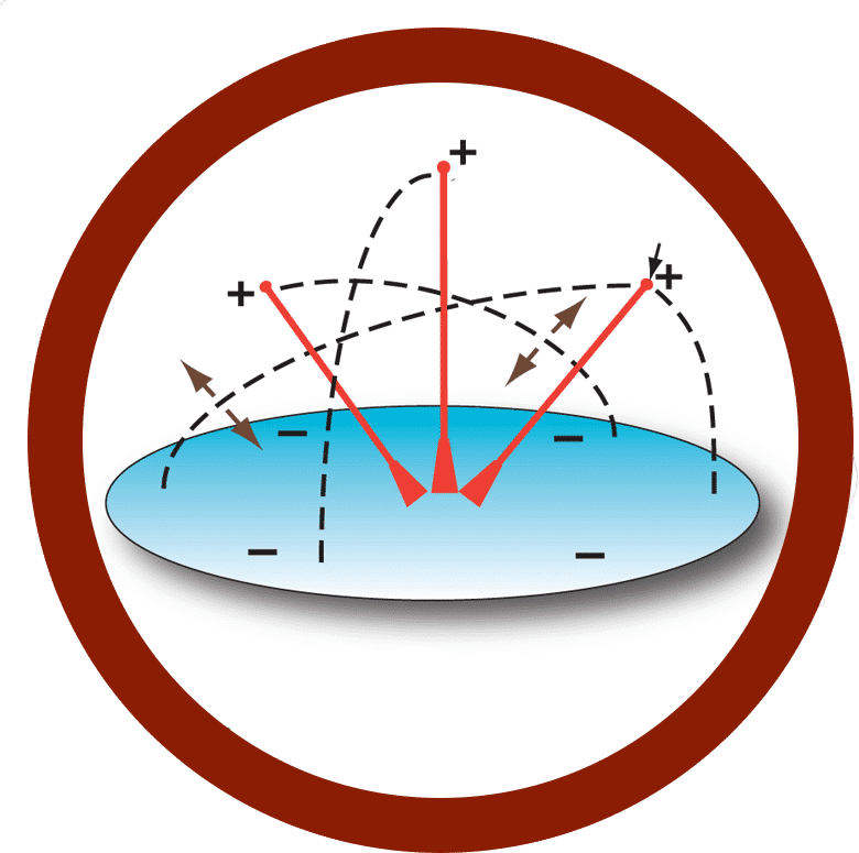 multi-polarization